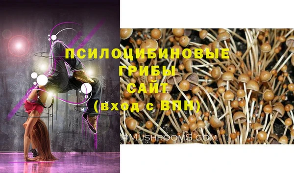 дурь Алзамай