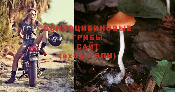 2c-b Алексеевка